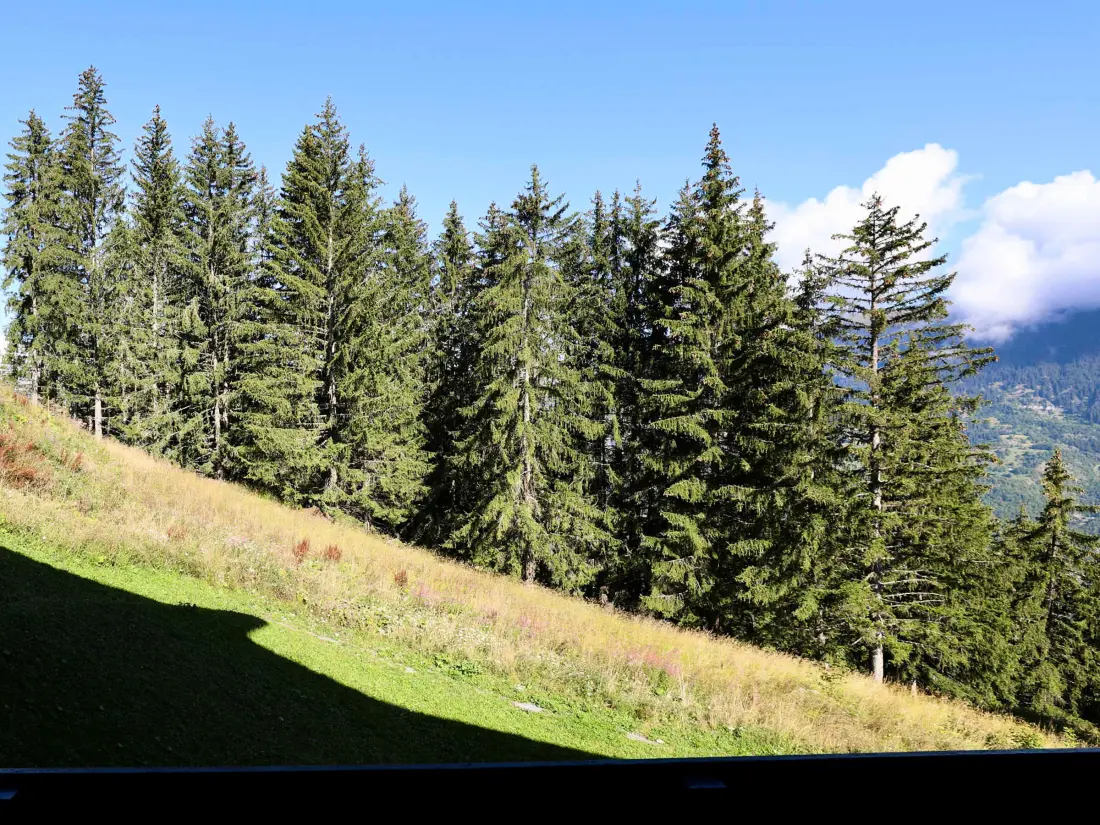 Location de Vacances Courchevel 1550 117