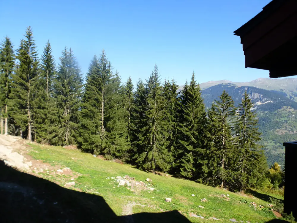 Location de Vacances Courchevel 1550 119