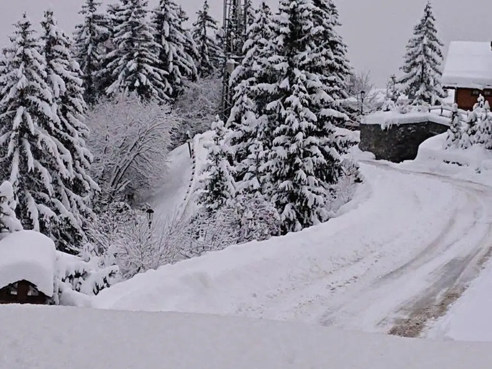 Location de Vacances Courchevel 1550 119