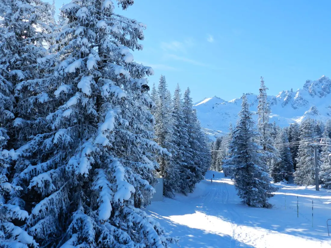 Location de Vacances Courchevel 1550 139