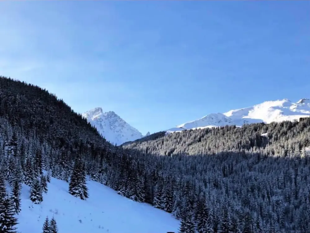Location de Vacances Courchevel 1650 163