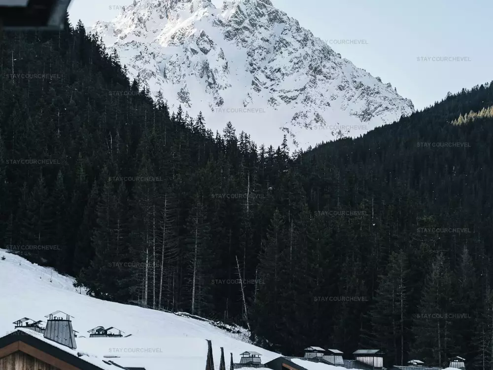 Location de Vacances Courchevel 1650 172