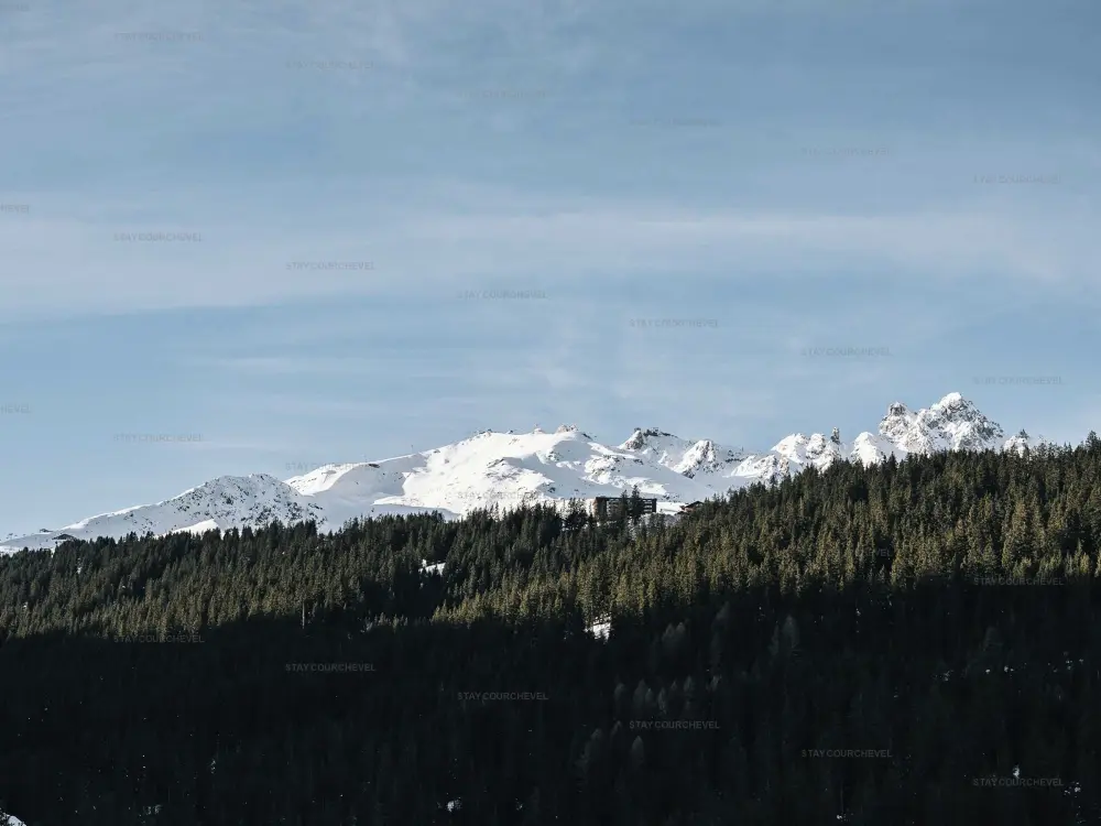 Location de Vacances Courchevel 1650 173