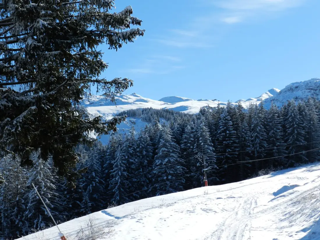 Location de Vacances Courchevel 1850 124