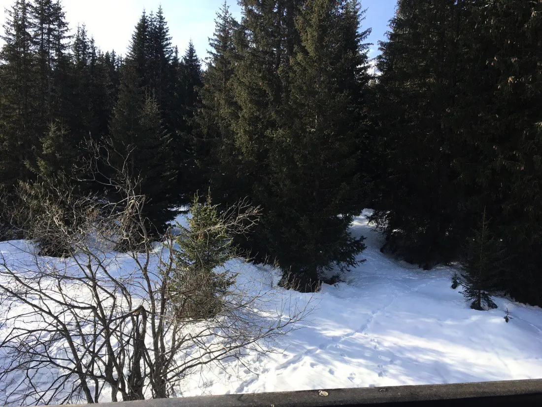 Location de Vacances Courchevel 1850 198