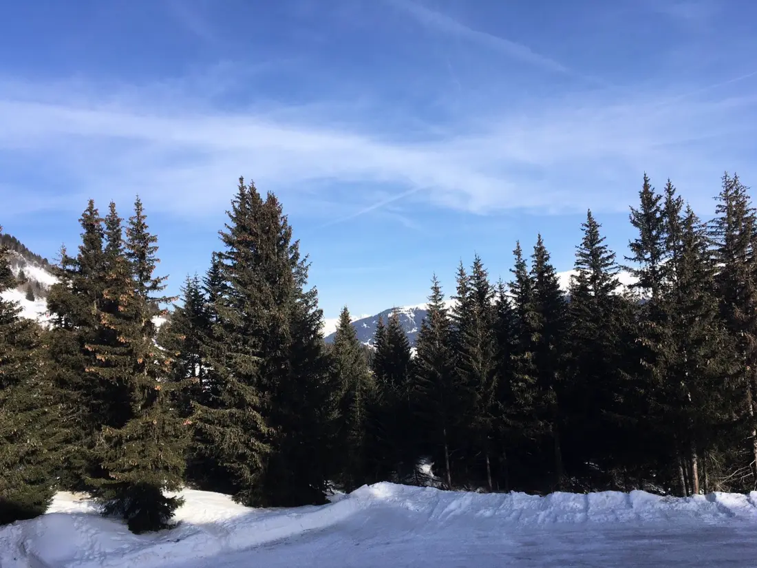 Location de Vacances Courchevel 1850 198