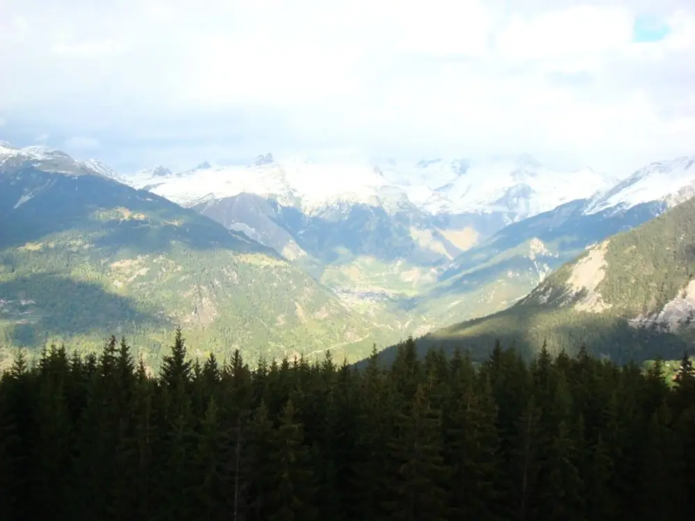 Location de Vacances Courchevel 1850 205