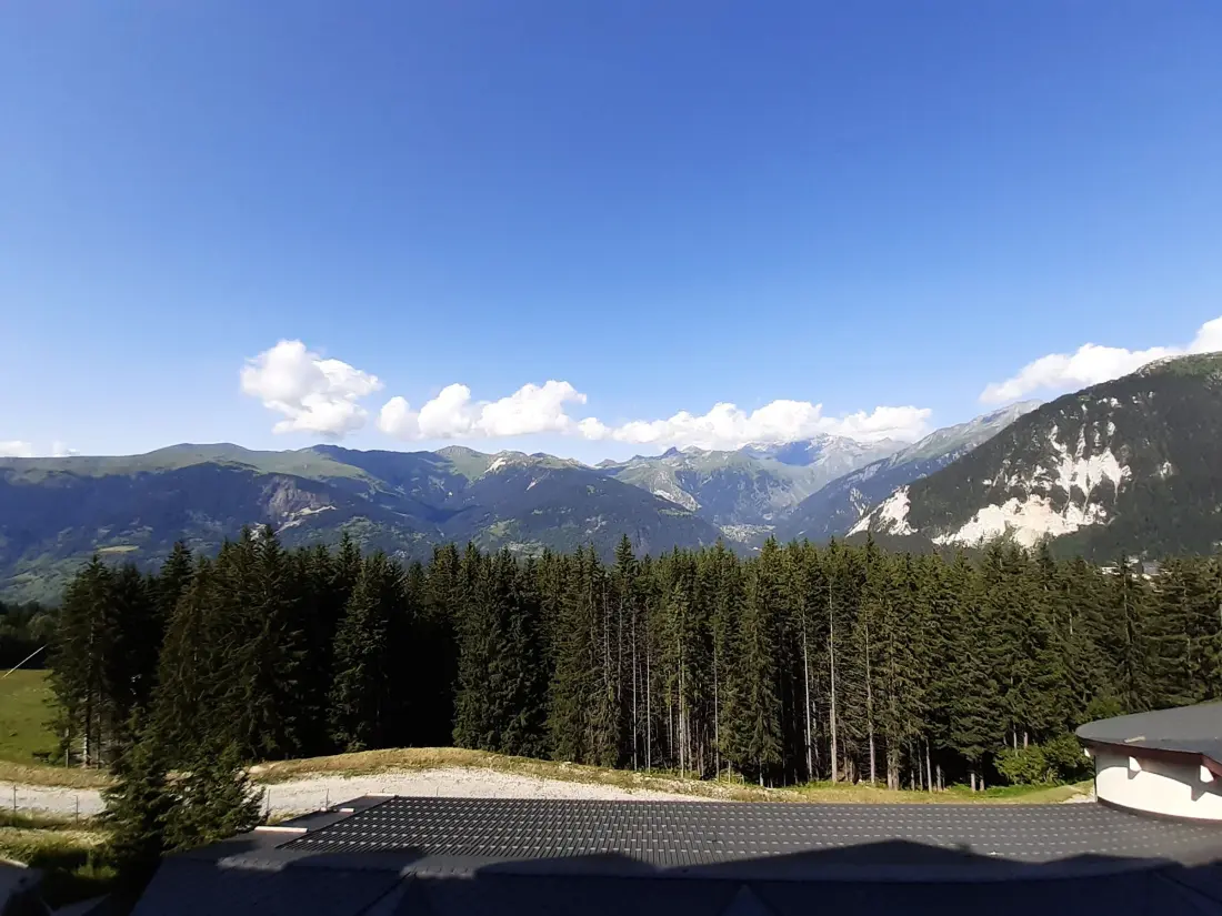 Location de Vacances Courchevel 1850 205