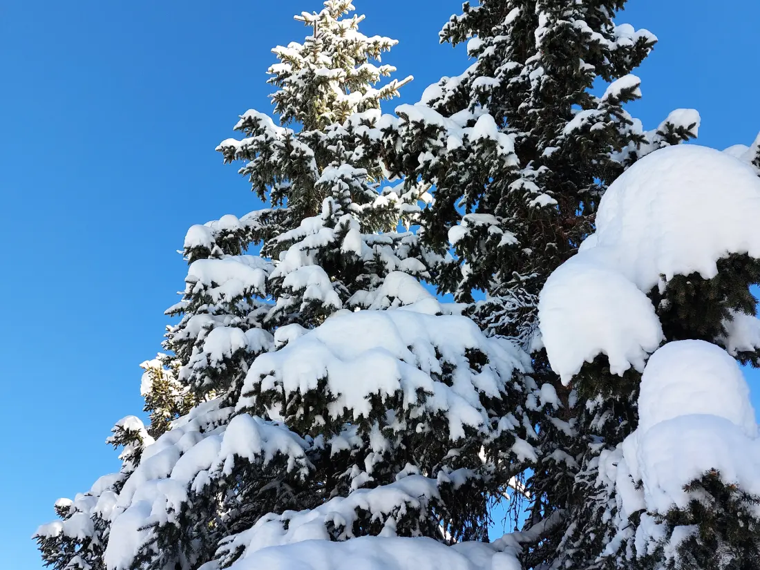 Maison de Vacances Courchevel 1850 139