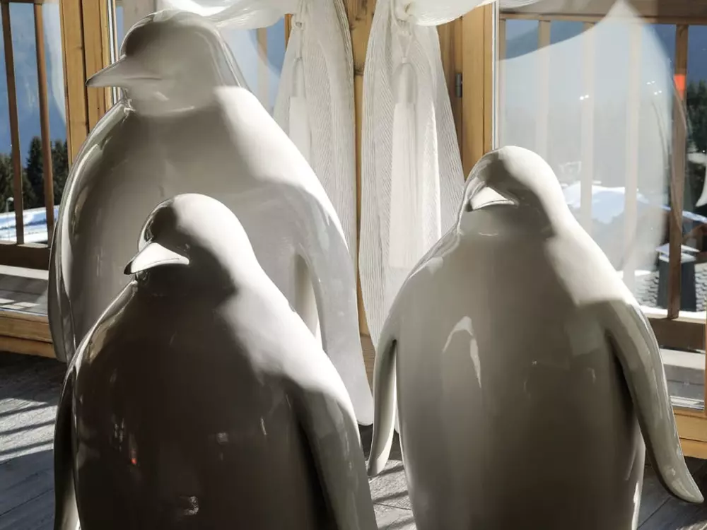 Location de Vacances Courchevel 143