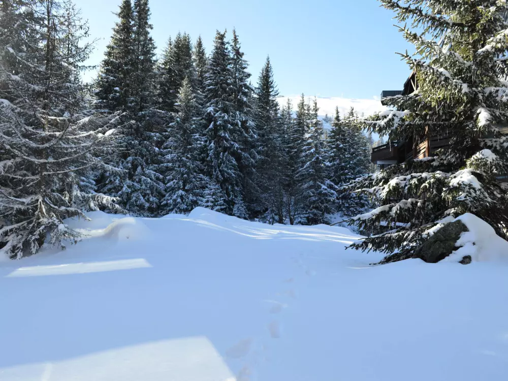 Location de Vacances Courchevel 148