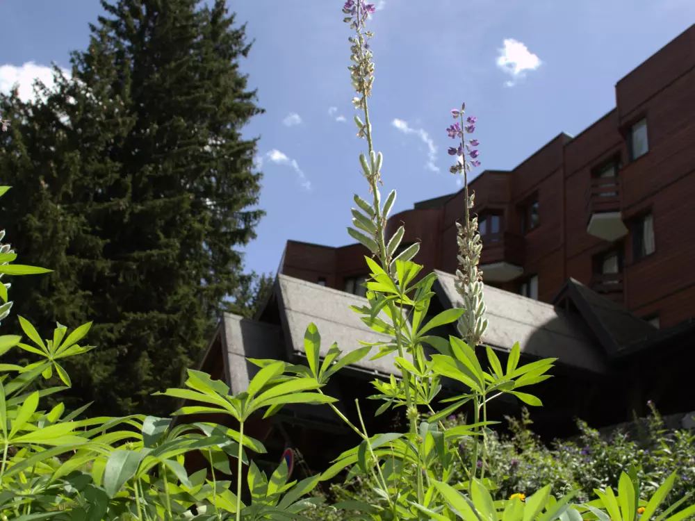 Location de Vacances Courchevel 148