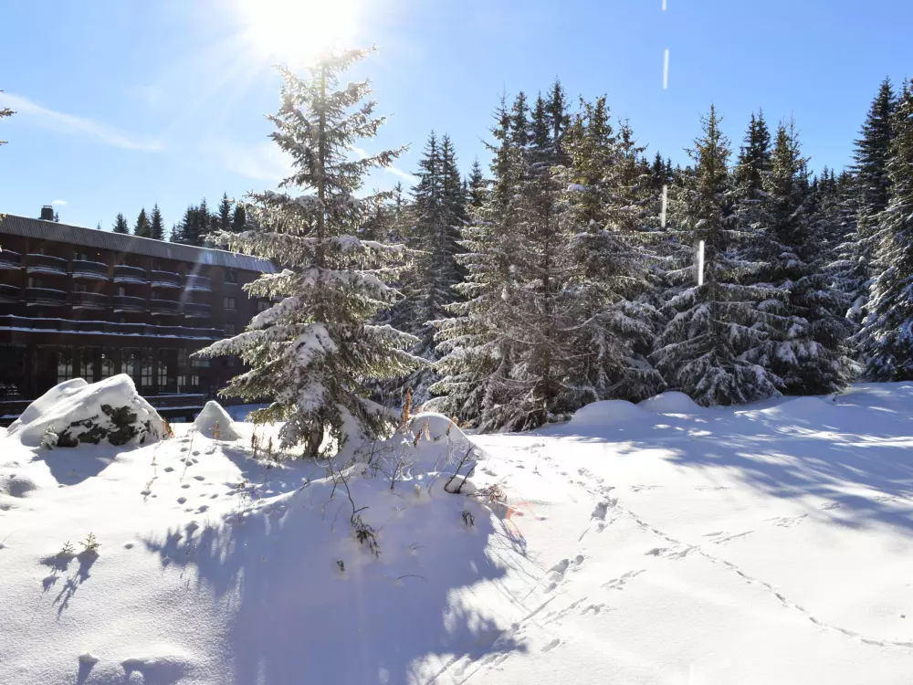 Location de Vacances Courchevel 148