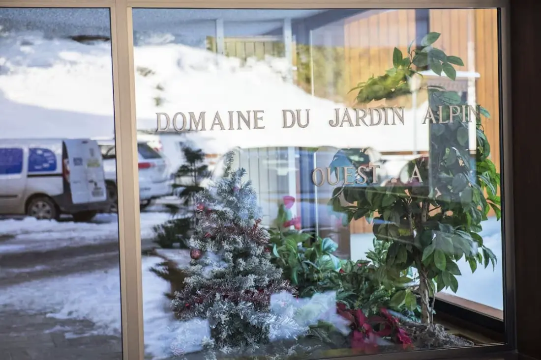Charmant Appartement De Ski à Courchevel 1850