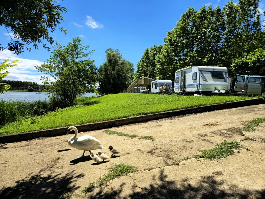 Camping La Clé de Saône 3 étoiles★★★
