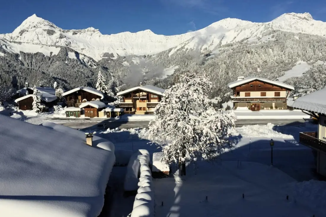 Séjour Alpin Au Pied Des Pistes