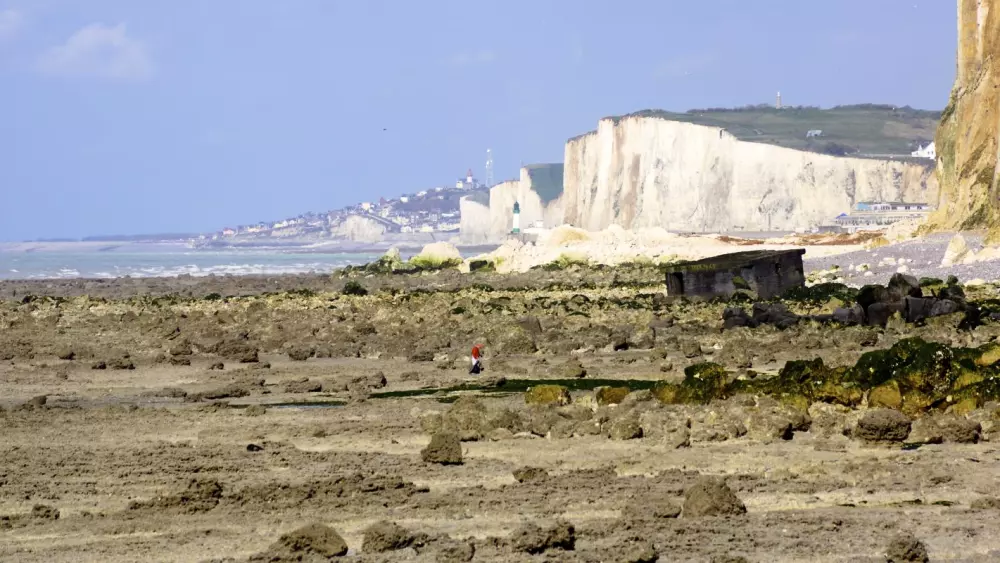 Gîte de France Gîtes de france® - les ramiers 4 épis
