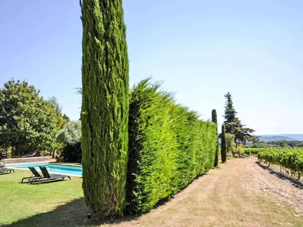 Maison de Vacances Cucuron