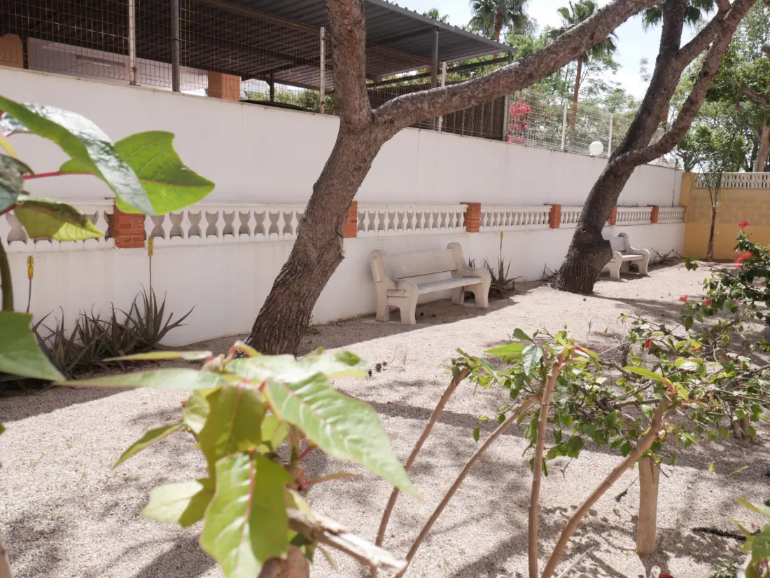 Location de Vacances Cullera 42