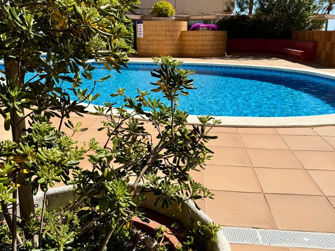 Location de Vacances Cunit 8