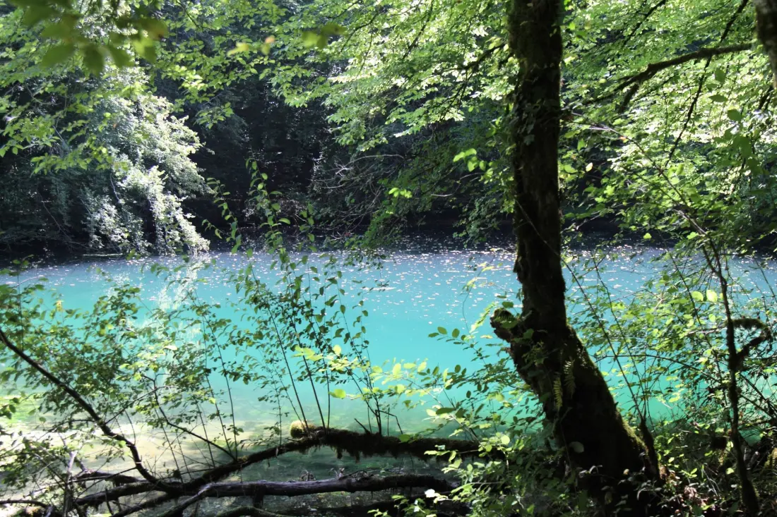 Camping La Peyrugue 3 étoiles★★★
