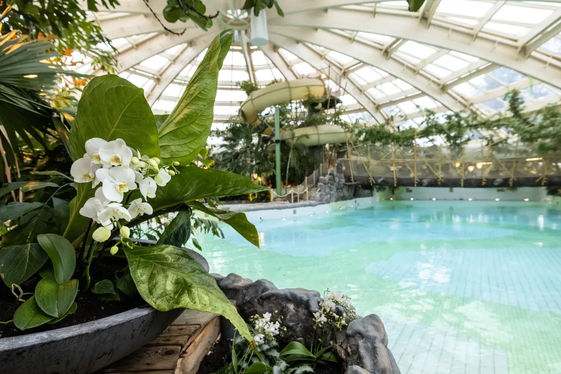Domaine De Huttenheugte Center Parcs