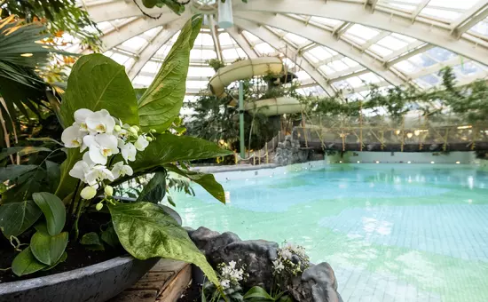 Domaine De Huttenheugte Center Parcs