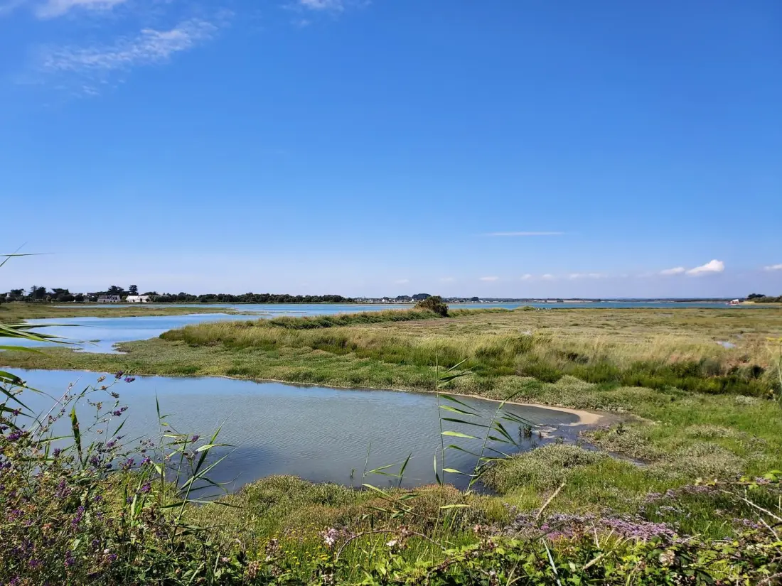 Gîte de France L'avocette 3 épis