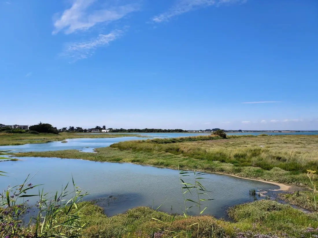 Gîte de France L'avocette 3 épis