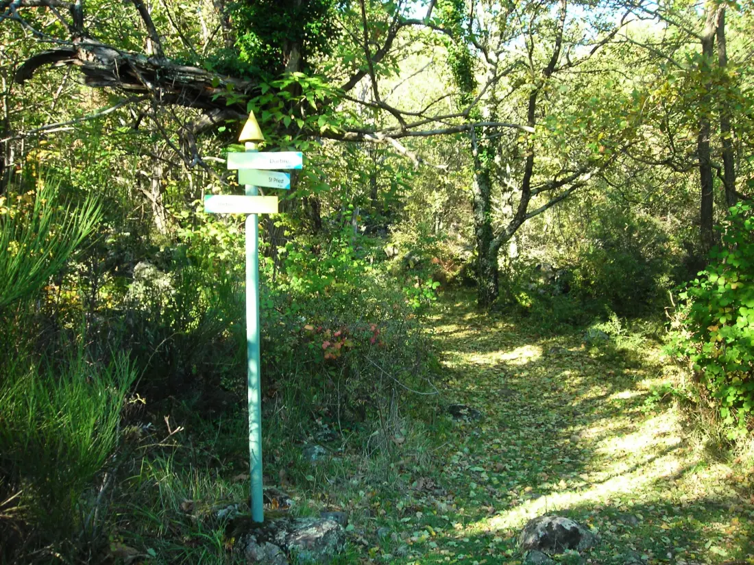 Camping Les Lavandes 3 étoiles★★★