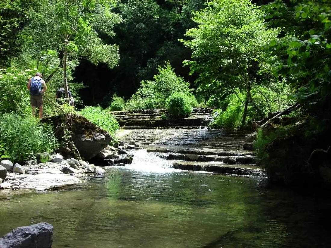 Camping Les Lavandes 3 étoiles★★★
