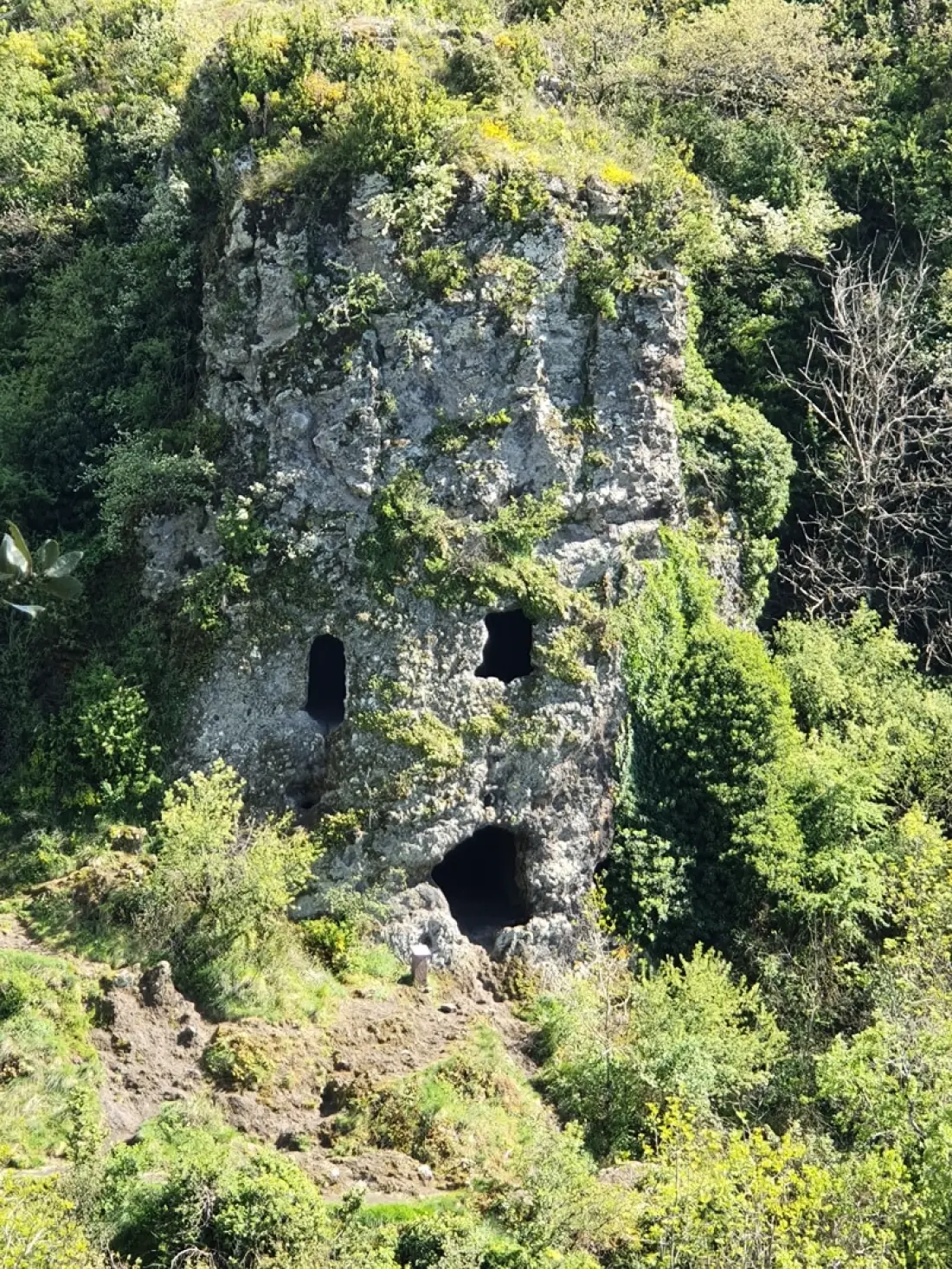 Camping Les Lavandes 3 étoiles★★★