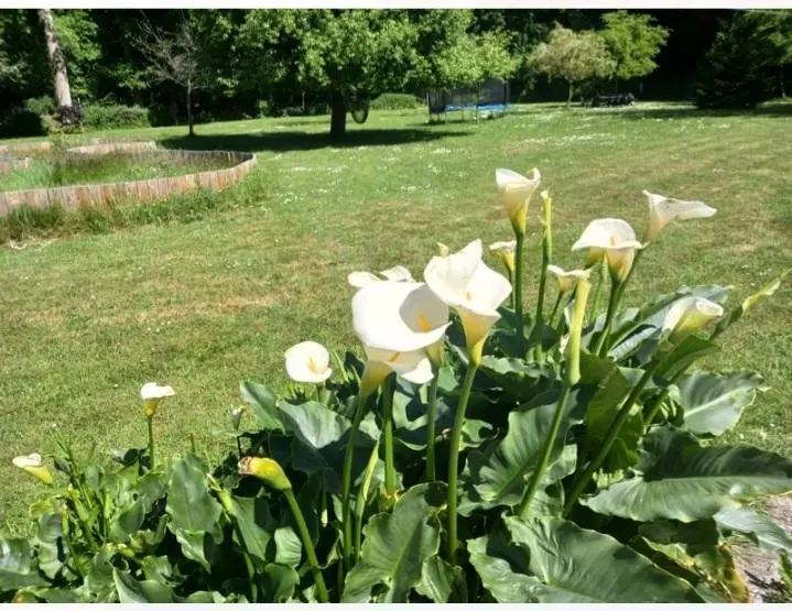 Gîte de France Gîtes de france® - côté jardin 3 épis