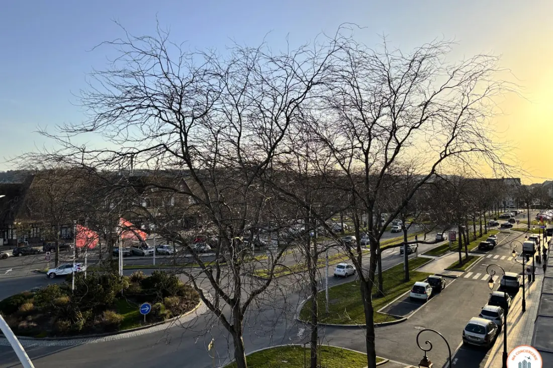 🌅 Le Panoramic View - Balcon - Parking