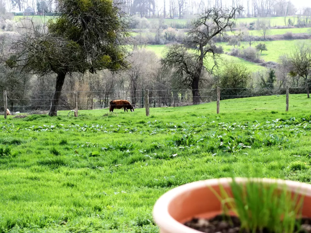Maison de Vacances Deauville-Trouville