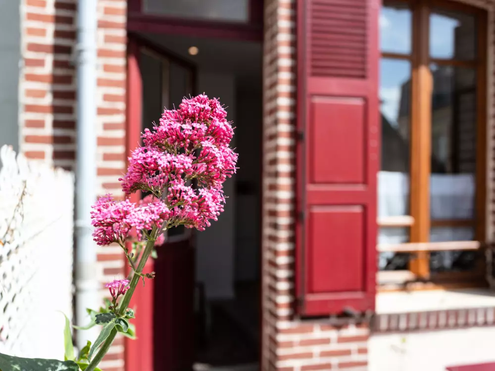 Maison de Vacances Deauville-Trouville
