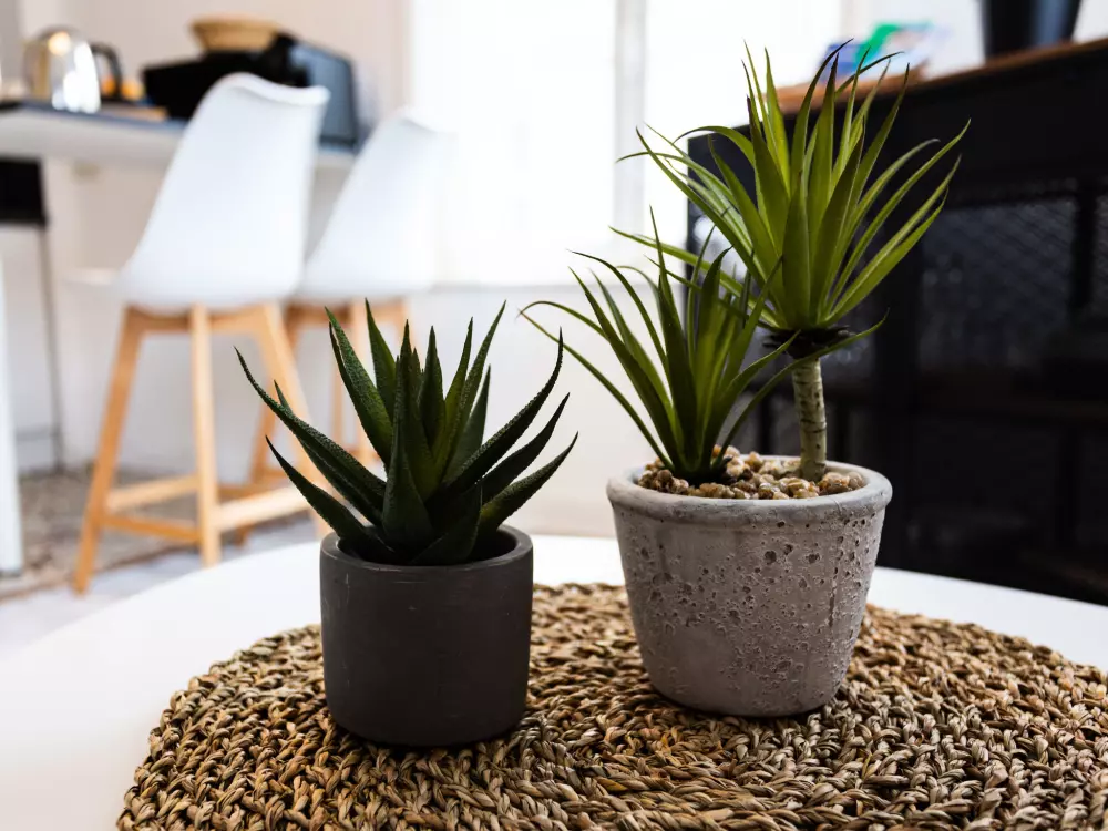 Résidence La Batelière