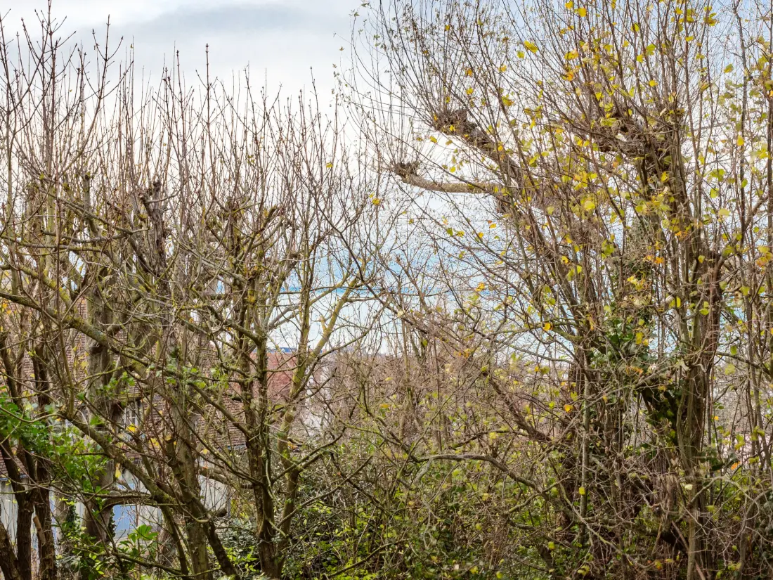 Résidence Le Parc de La Jacotte