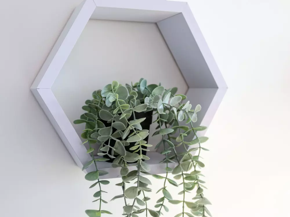 Résidence Les Flots Bleus