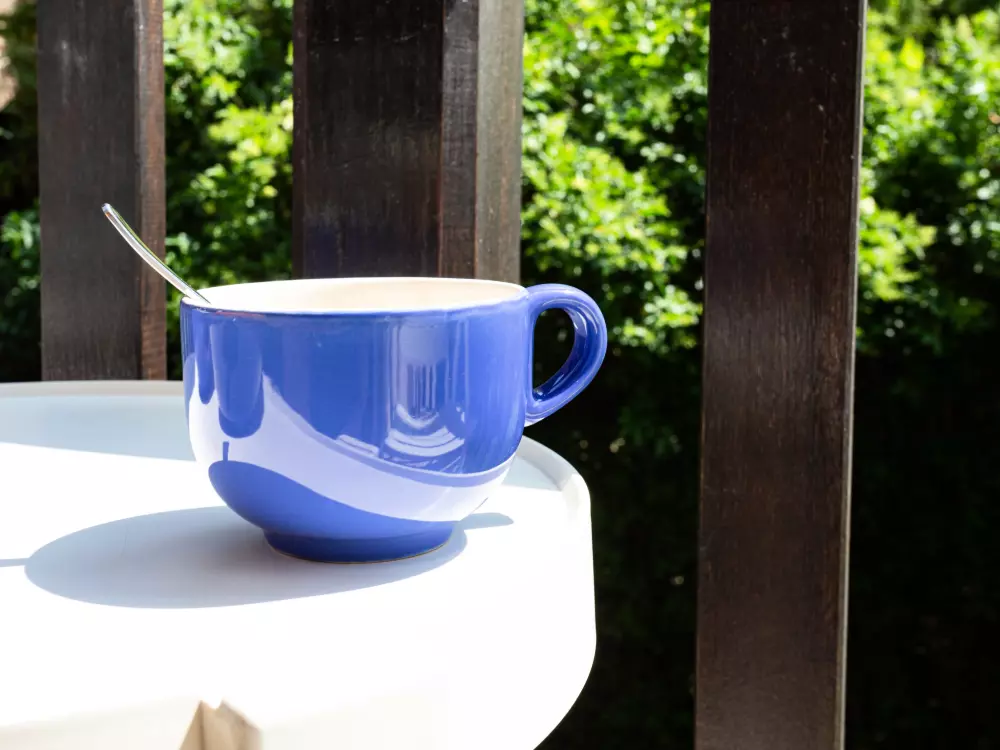 Résidence Pavillon Gabriel