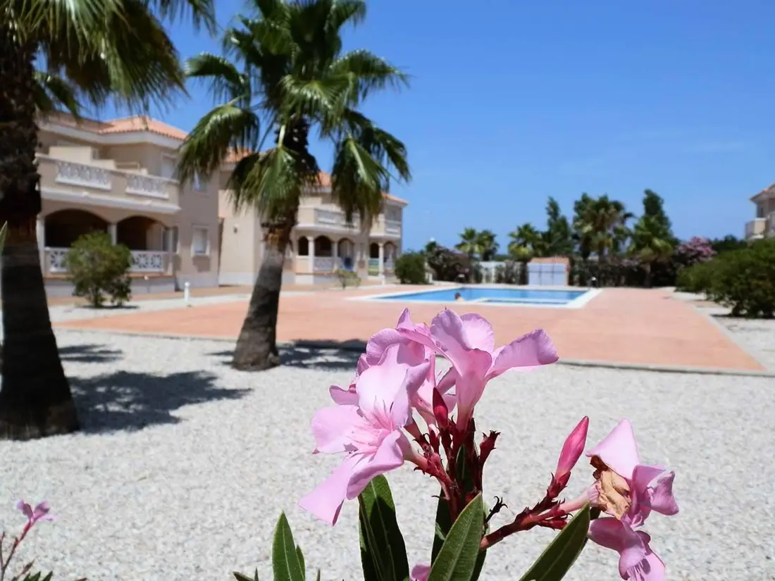 Location de Vacances Deltebre 14