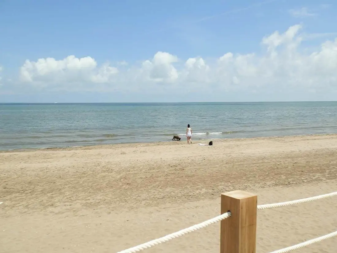 Location de Vacances Deltebre 14