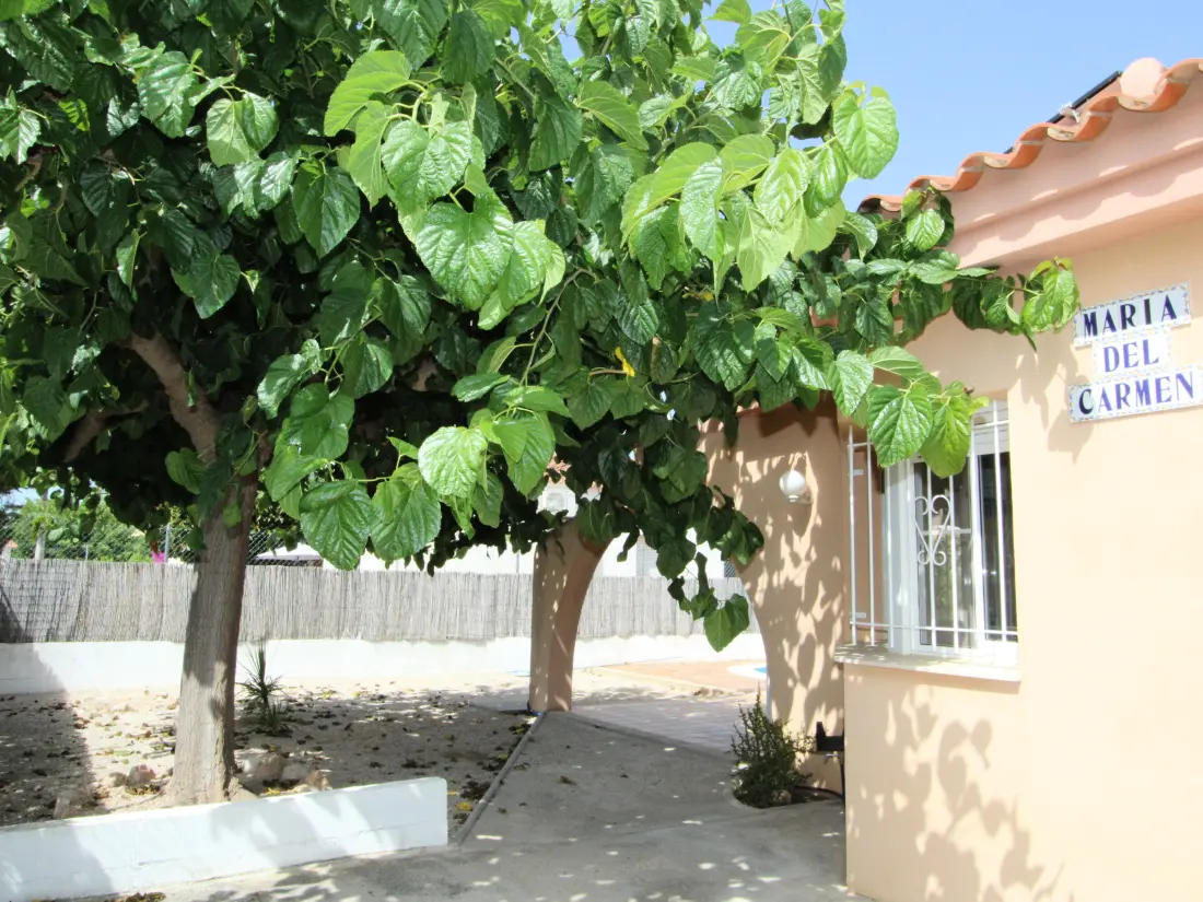 Maison de Vacances Deltebre 28