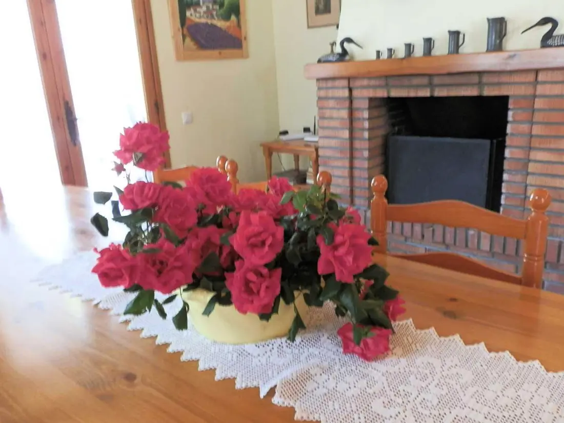 Maison de Vacances Deltebre 43