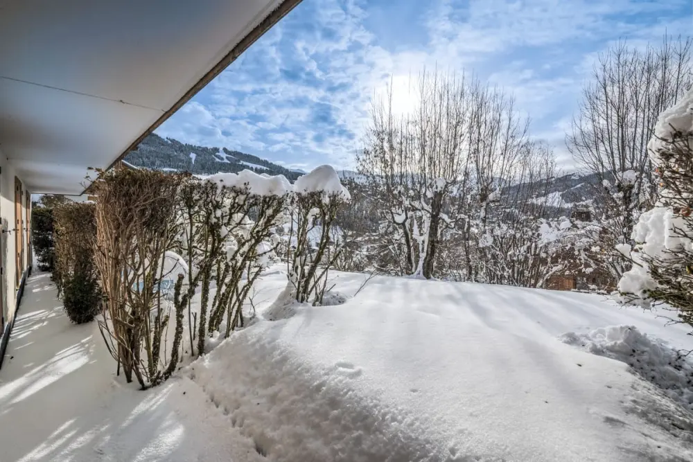 Appartement Front De Neige -