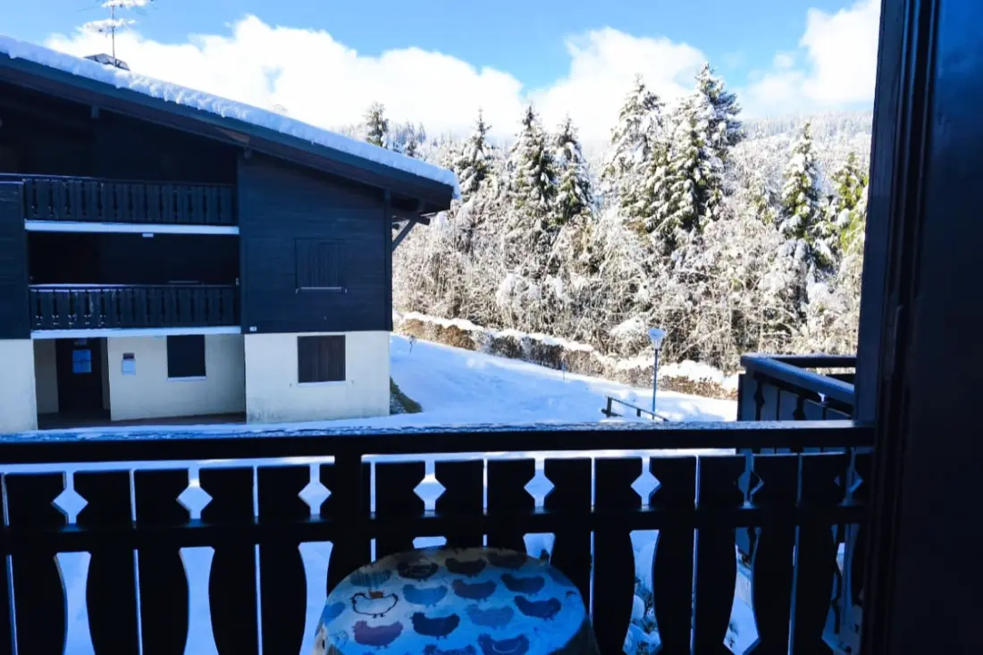 Charmant Appartement Avec Mezzanine En Montagne