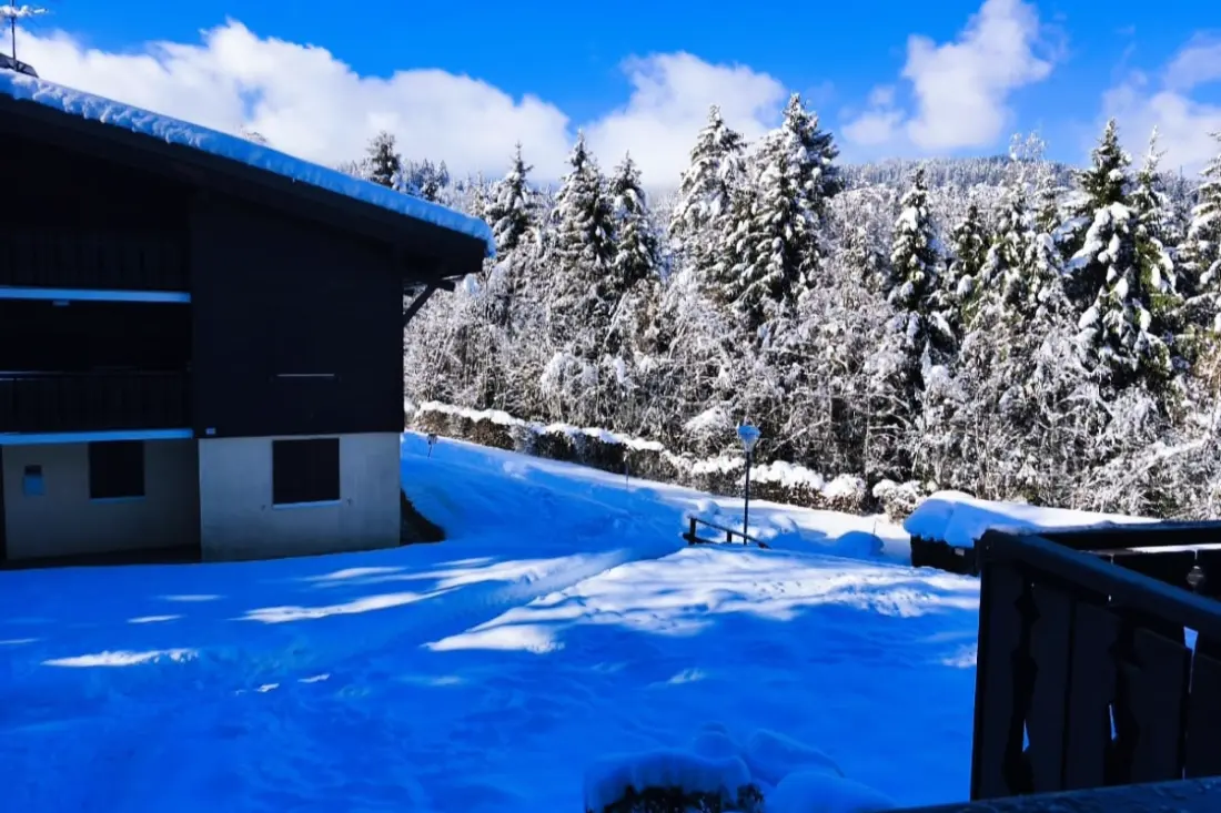 Charmant Appartement Avec Mezzanine En Montagne
