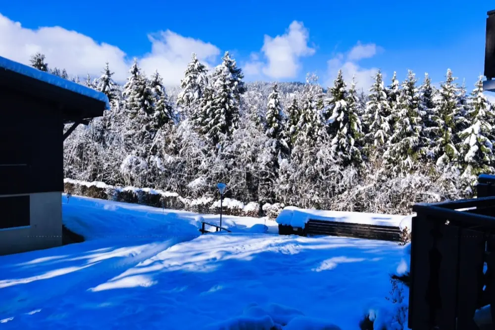 Charmant Appartement Avec Mezzanine En Montagne