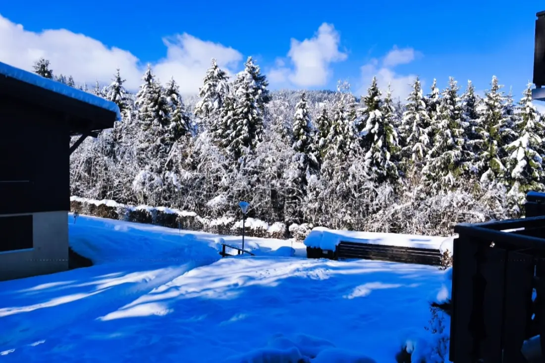 Charmant Appartement Avec Mezzanine En Montagne