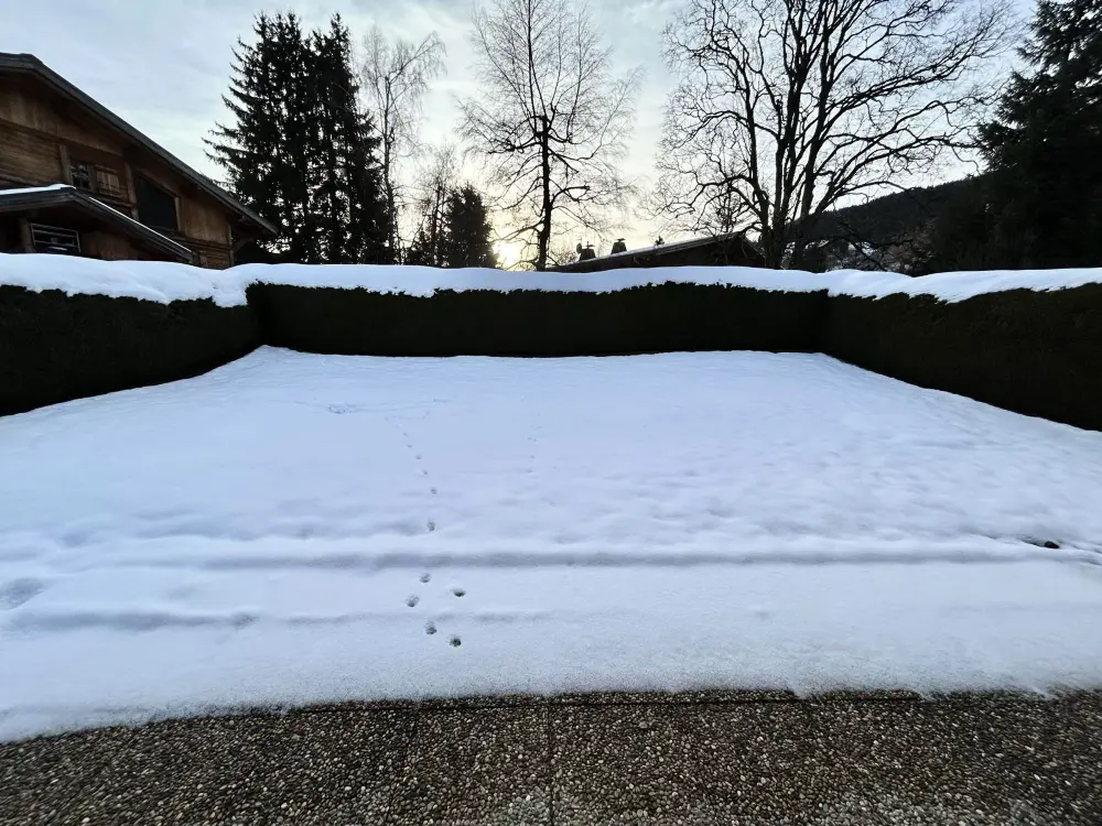 Location de Vacances Demi-Quartier 31